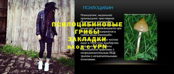 эйфоретик Алексин