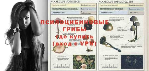 винт Алексеевка
