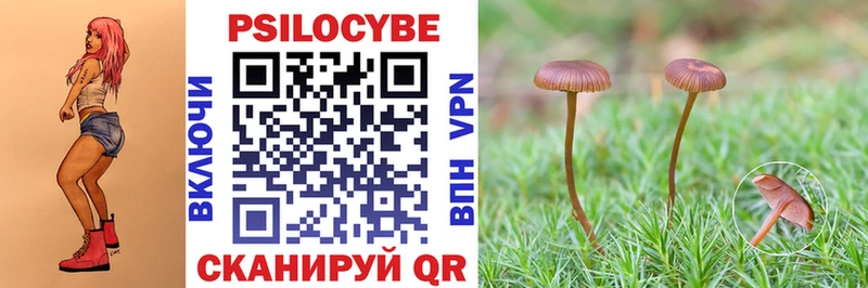 Галлюциногенные грибы Psilocybine cubensis  где купить наркоту  нарко площадка как зайти  Жирновск 